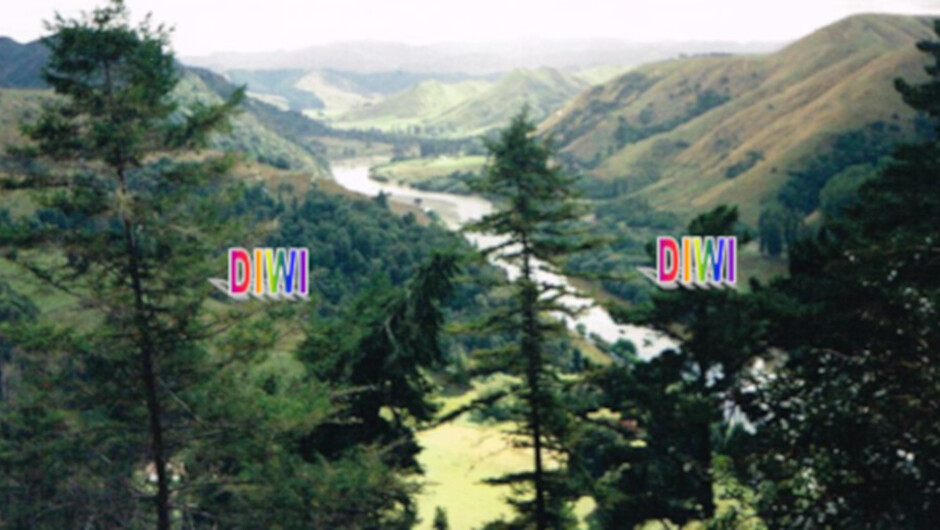 Whanganui River Aussichtspunkt