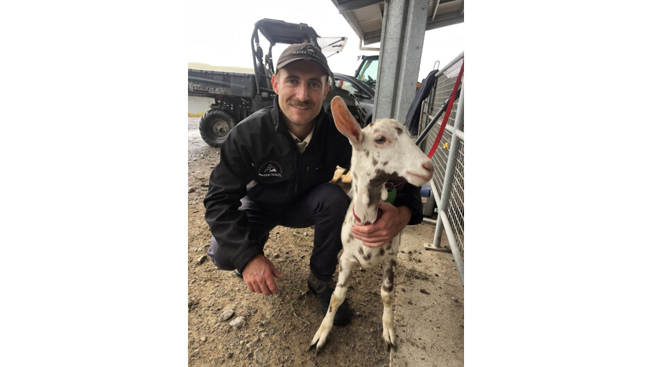Cuddles with the goats