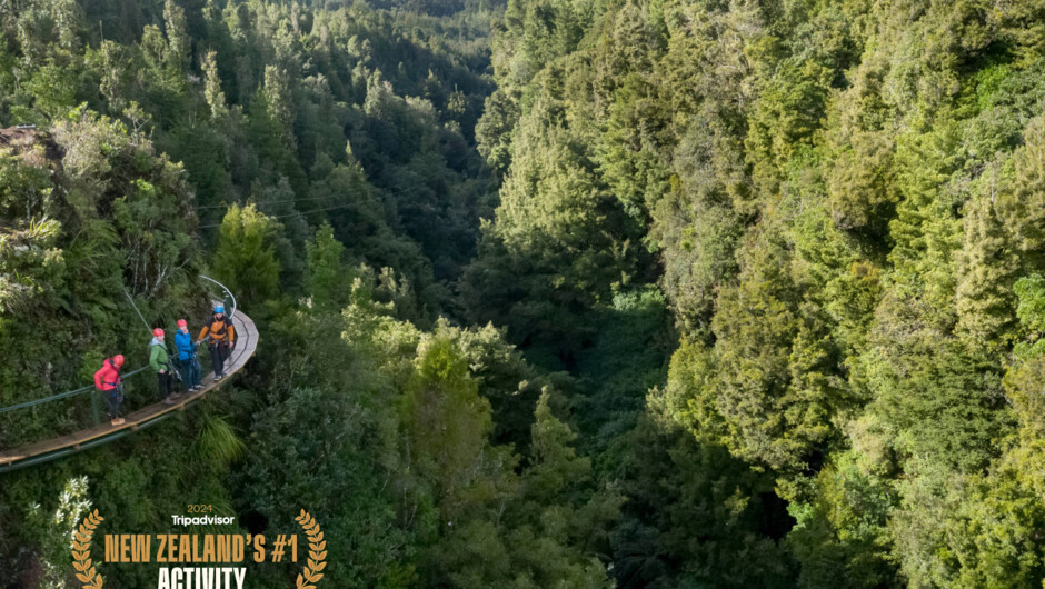 Explore New Zealand&#039;s only volcanic cliff walk.