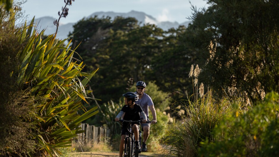 Mangawhero Walkway
