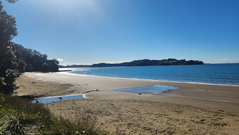Stunning Mahurangi Peninsula
