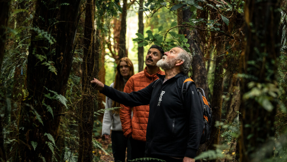 Stewart Island Wilderness Walk