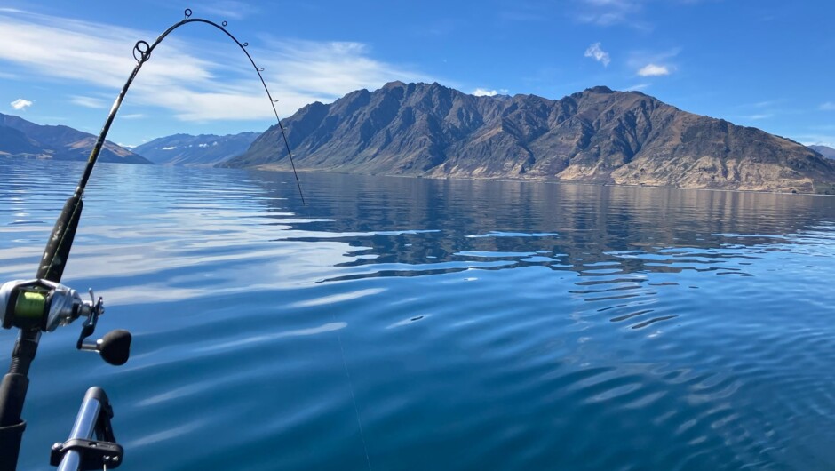 Catch a Fish Fishing Charter, Lake Hāwea catching Trout