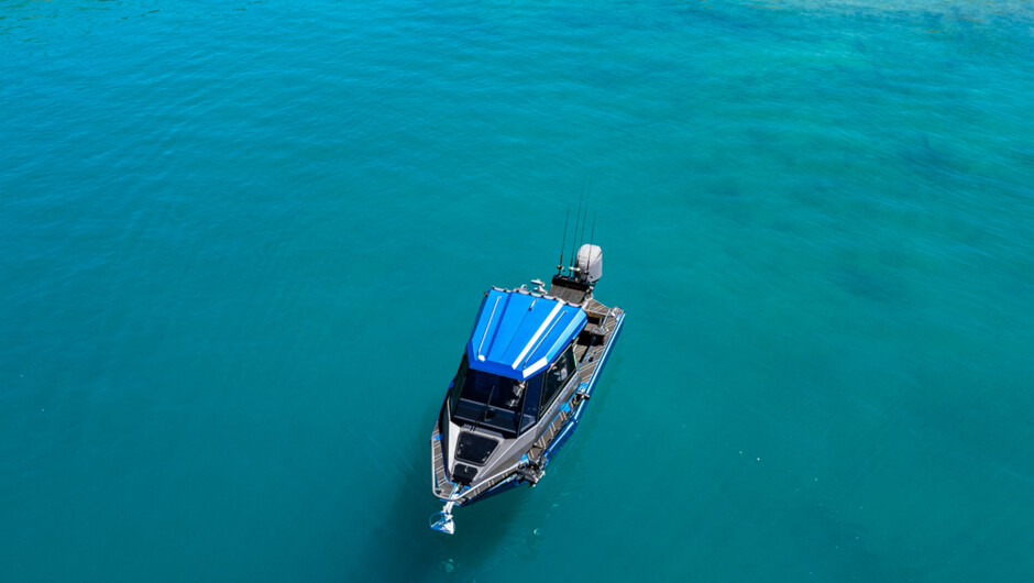 Catch a Fish Fishing Charter Catch Trout and Salmon