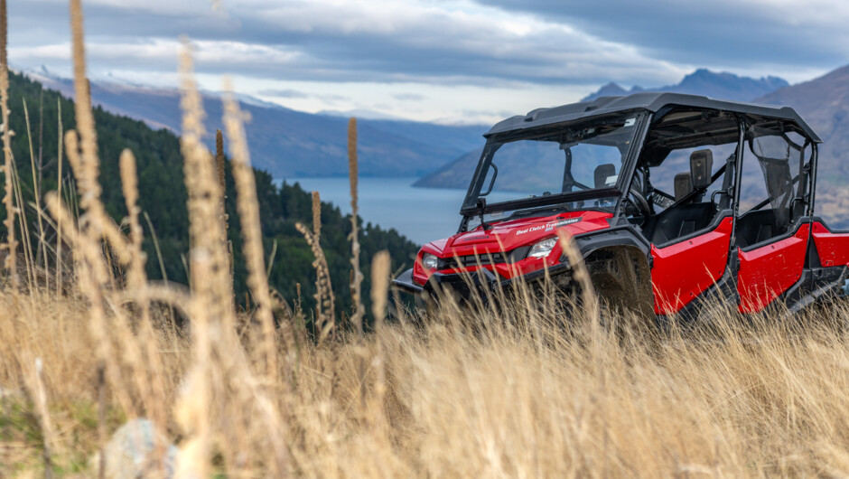 Off Road Adventures Queenstown: Scenic Guided Buggy