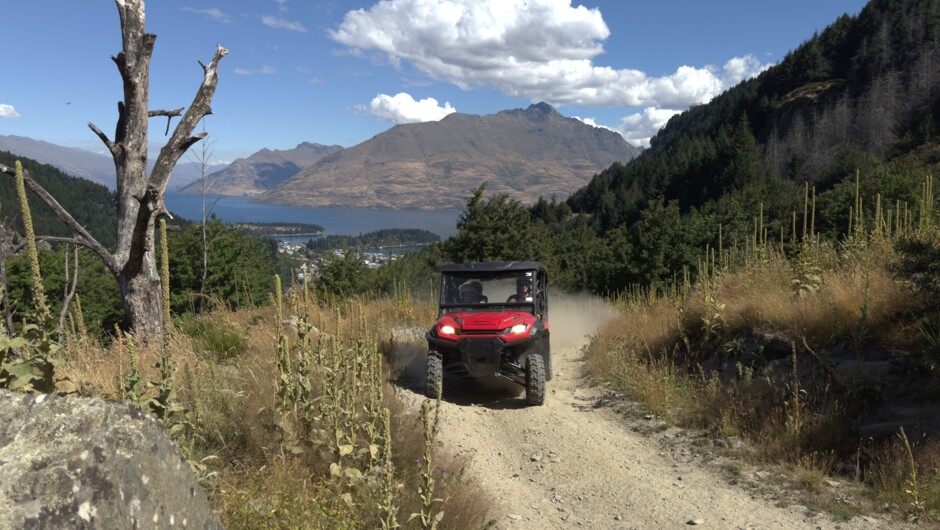 Off Road Adventures Queenstown: Scenic Guided Buggy