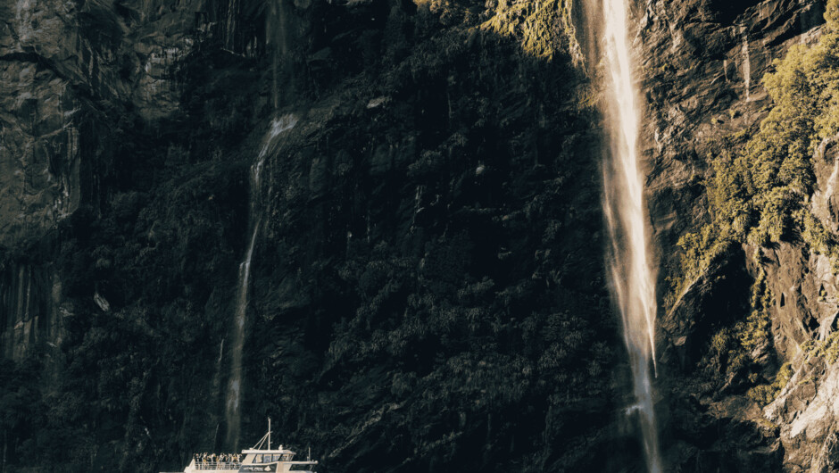 Get close to the nature of the fiord