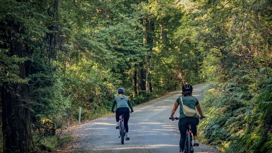 E-bike hire in the beech forest