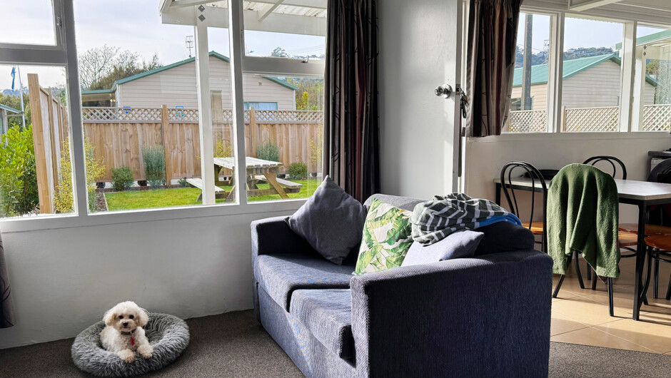 Pets are welcome in our Classic Studios between 1 February and 19 December each year