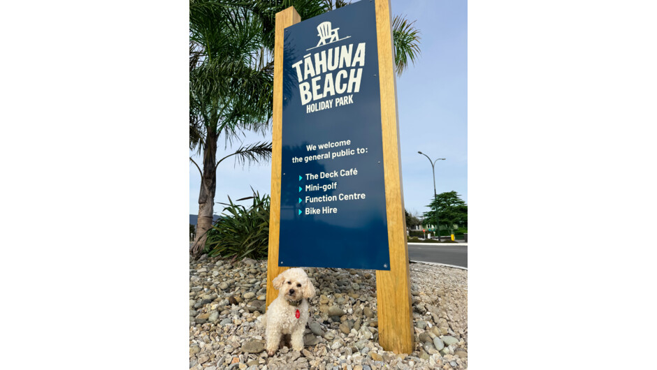 Pets are welcome in our Classic Studios between 1 February and 19 December each year