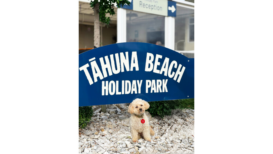 Pets are welcome in our Classic Studios between 1 February and 19 December each year