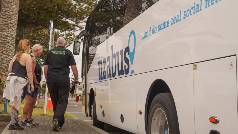 City &amp; Scenic Sightseeing 2-hour Local Bus Tour