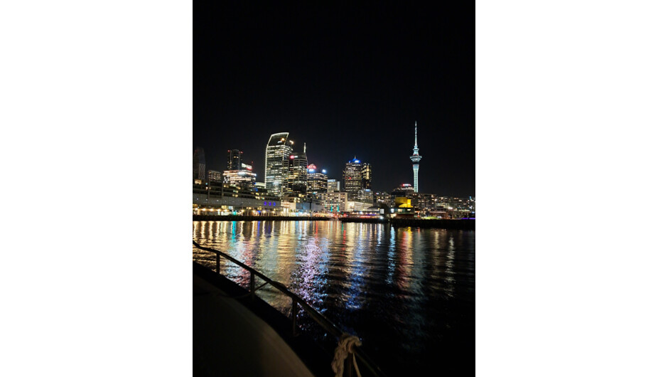 View from the boat at night