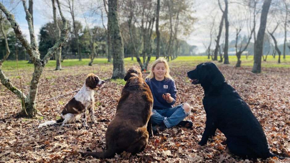 Having a chat with the dogs about truffle hunting