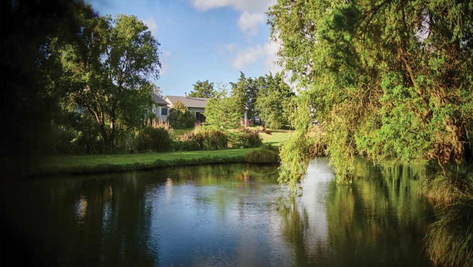 Our willow-fringed lake