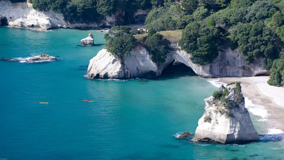 Coastline of Cathedral Cove, Coromandel