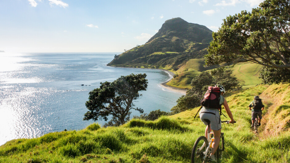 Top of Coromandel Biker