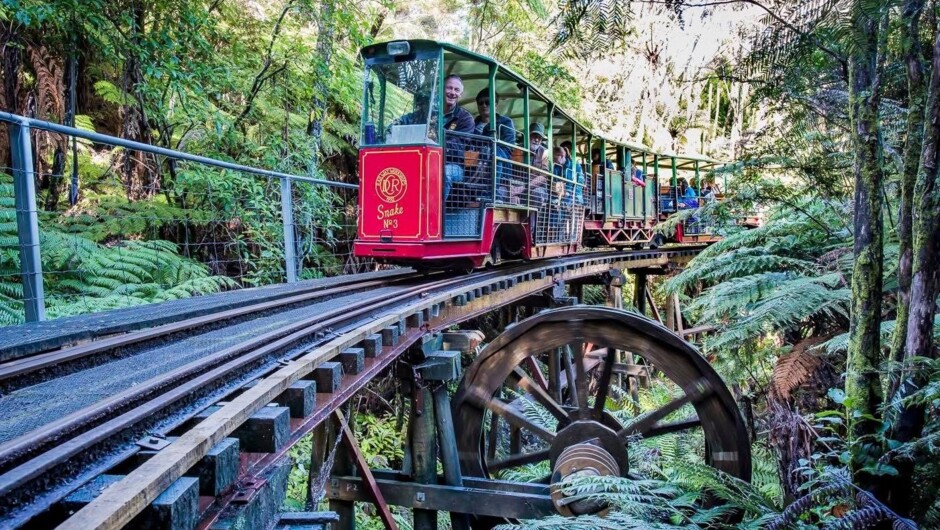 Driving Creek Railway, Coromandel