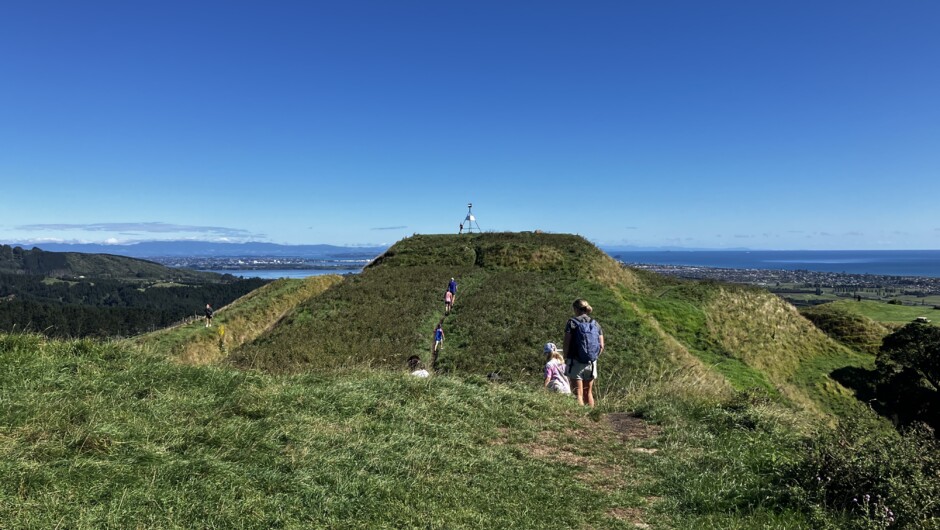 Papamoa Hills