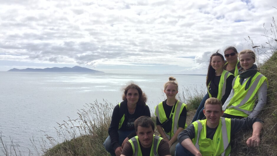 Volunteering on the coast, Wellington