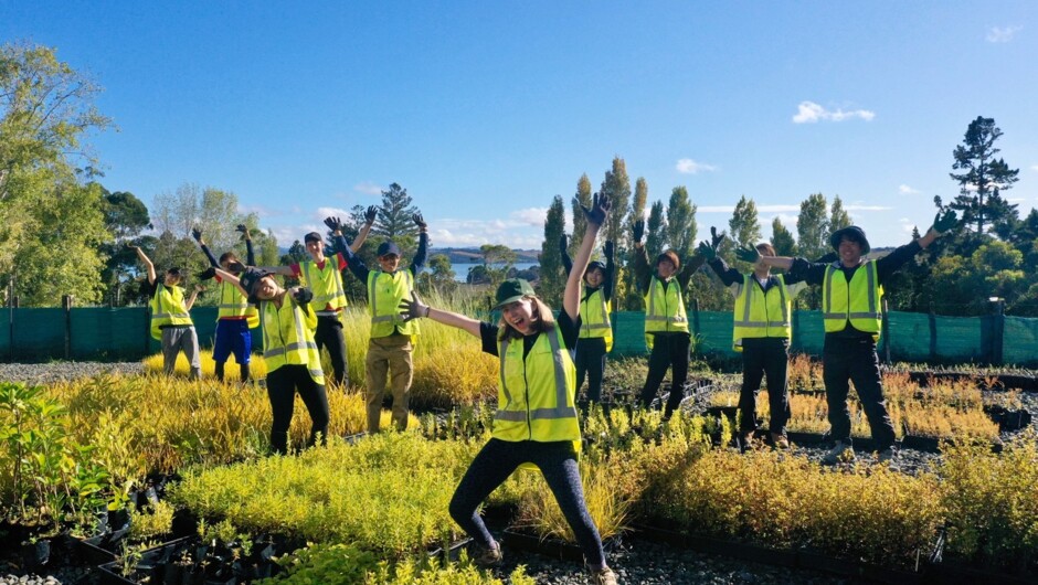 Native plant nursery, Auckland