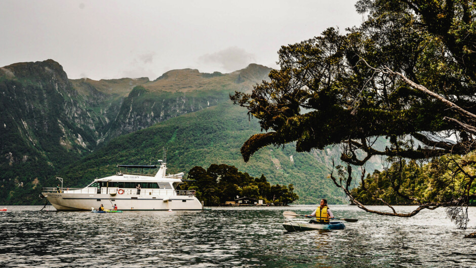Explore Doubtful Sound at water level by kayak, then relax aboard Southern Secret with just 12 guests.