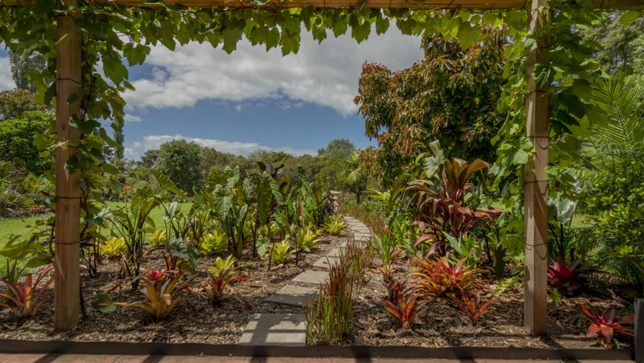 View from studio onto garden