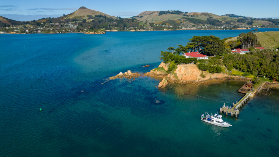 "Adagio" pulling in to Kamau Taurua/Quarantine Island