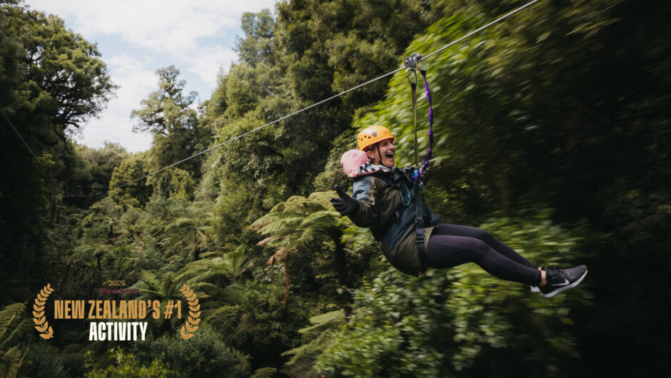 Rotorua Canopy Tours - Zipline into an ancient forest