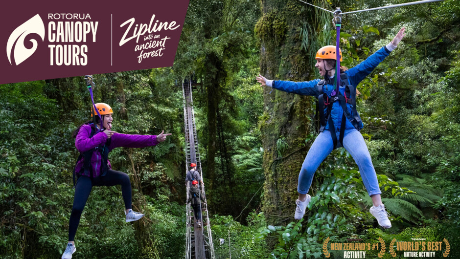 Ultimate Zipline Adventure into an ancient forest with Canopy Tours.