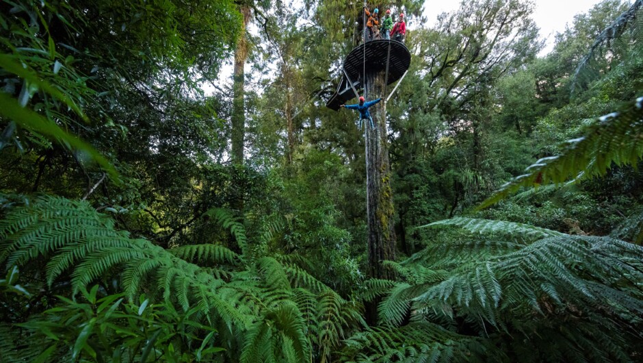 Controlled descent on the Ultimate Canopy Tour.
