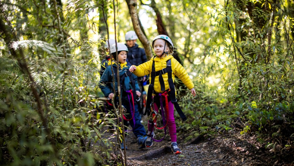 Family Friendly Adventure with Rotorua Canopy Tours