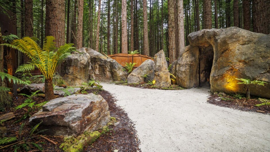 Redwoods Glowworms exterior