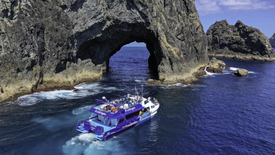 Our vessel Te Papahu at the Hole in the Rock