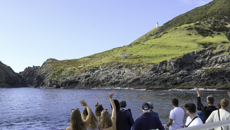 Travelling past Cape Brett Lighthouse