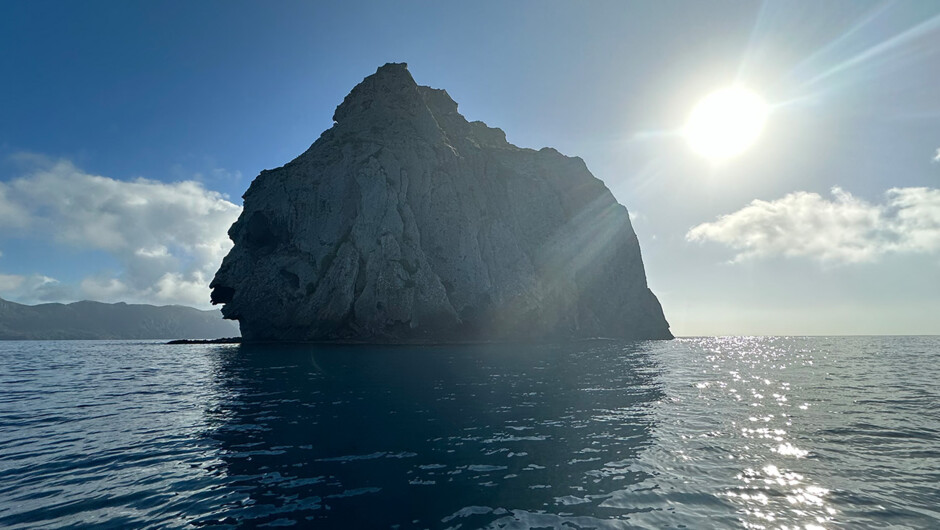 The majestic Sail Rock. A Mangawhai Charter destination favourite of Eco Adventures