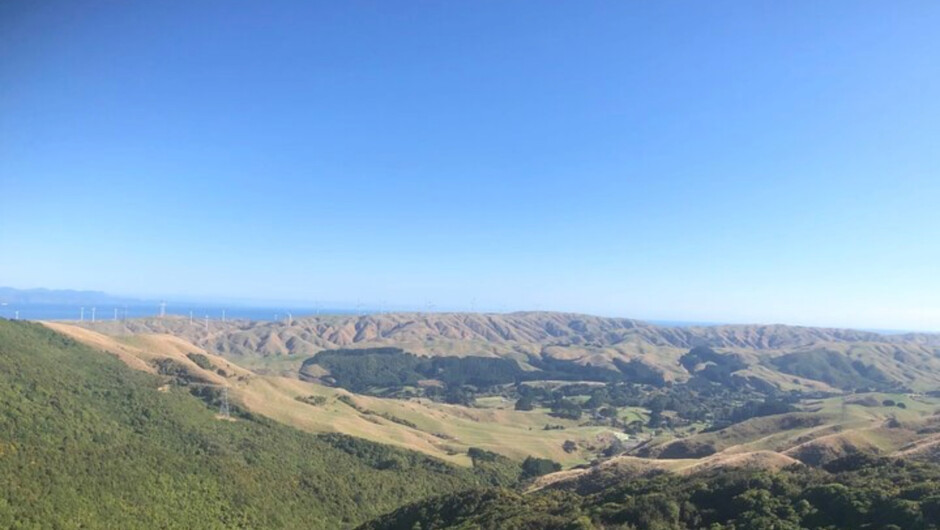 Views stretching to the South Island