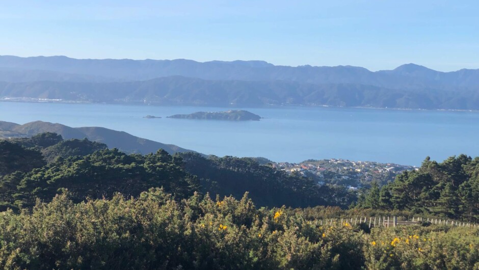 Views to the Harbour