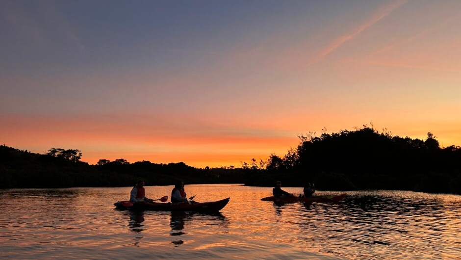 Sunset, Bioluminescence Kayak Tour