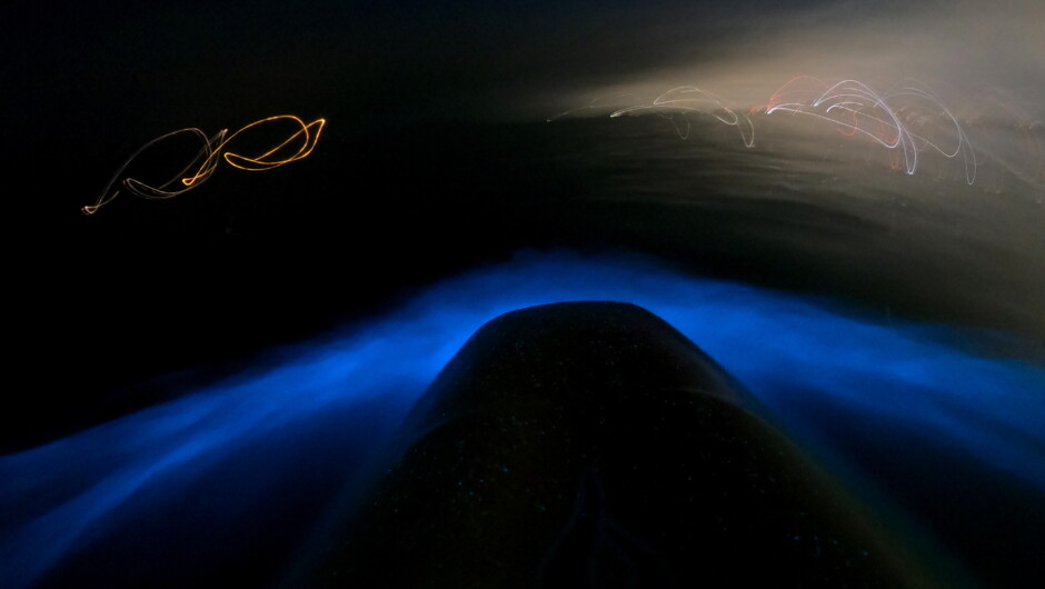 Beautiful bioluminescence