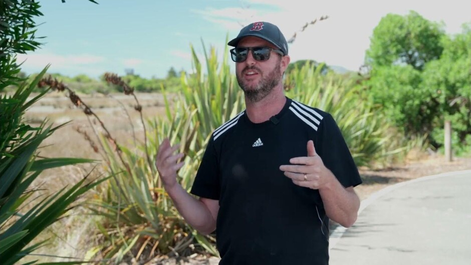 Exploring Nelson to Kaiteriteri with Gentle Cycling Company: A Family Adventure