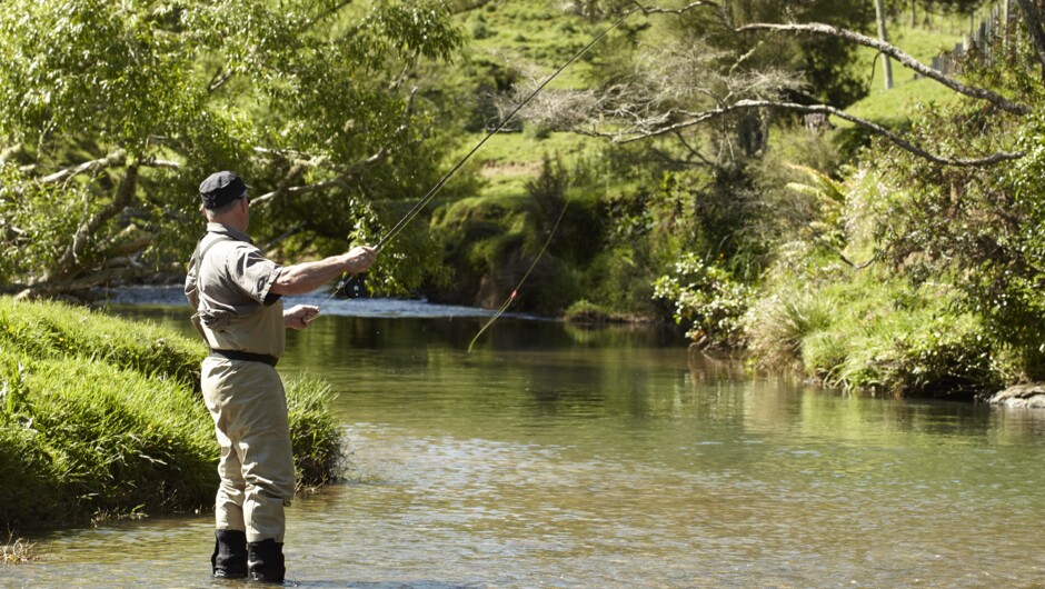 Regularly named the best fishing in the Waikato by our guests. You can fish from the bottom of the garden at Ripples Retreat.