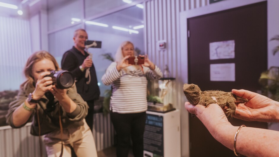 Get up close and personal with our incredible Tuatara and capture photos to create lasting memories