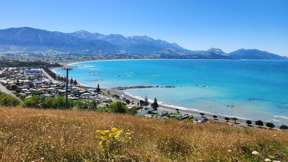 Kaikōura from the lookout