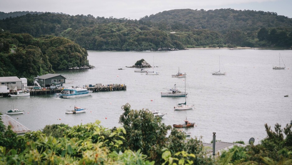 Stewart Island Village &amp; Bays Tour views