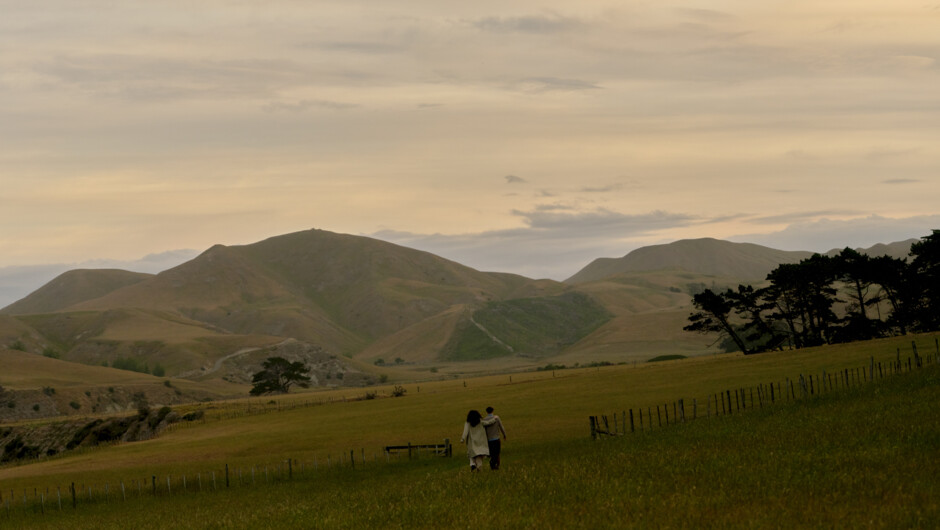 The Farm at Rosewood Cape Kidnappers