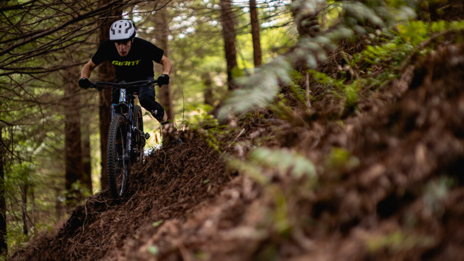 Rider on the forest trails at Skyline Rotorua Gravity Mountain Bike Park.