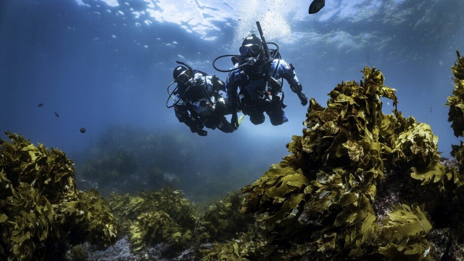 Clear sub tropical diving.