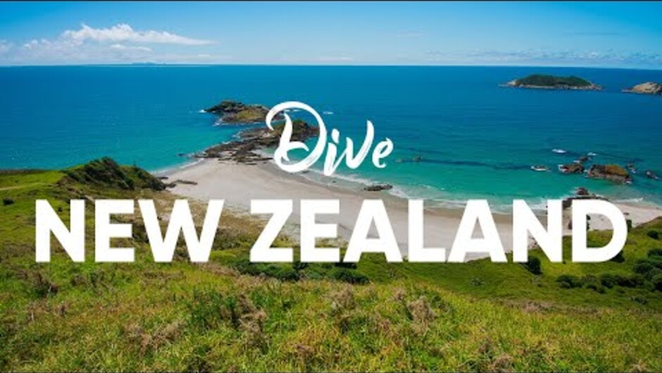 Poor Knights Islands New Zealand's Underwater Paradise - Video