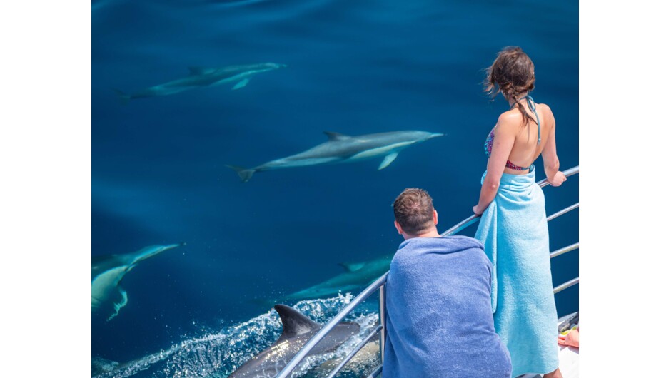 Perfect viewing conditions